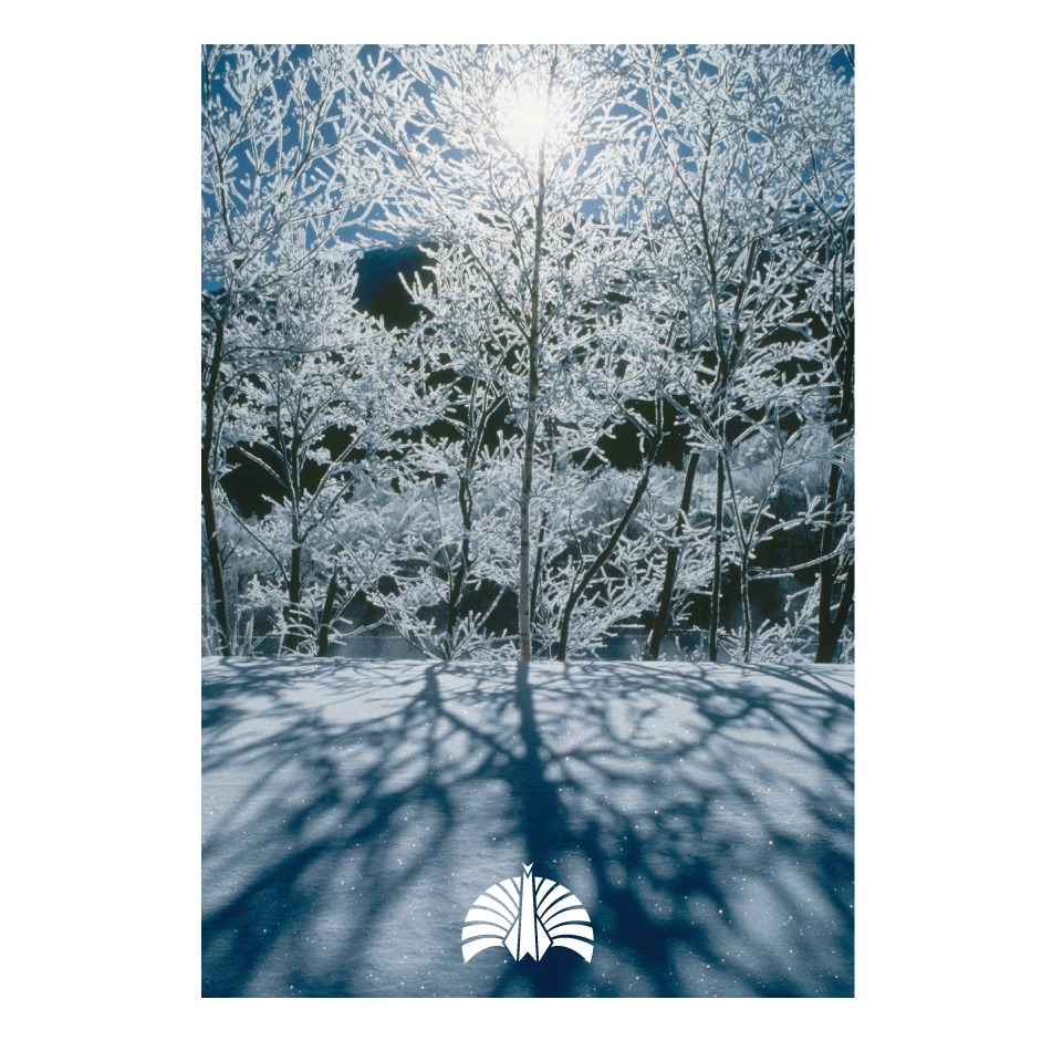 雪景色をフィーチャーしたシングル「空が鳴っている／女の子は誰でも」ジャケット。