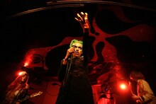 女王蜂（撮影：岩根愛）