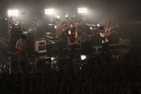 NICO Touches the Walls