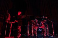 女王蜂（Photo by 岩根愛）