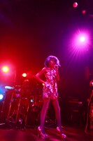 女王蜂（Photo by 岩根愛）