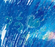 写真は“青盤”「クラムボン-ワーナー・ベスト-」初回限定盤ジャケット。