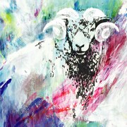 COLD KITCHEN、代表曲を収めた結成10周年の最新作