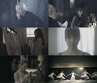 ビデオクリップのキャプチャ画像。