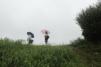 映画「はい！もしもし、大塚薬局ですが」のワンシーン。