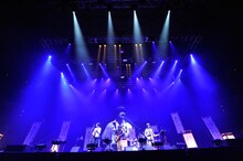 全国ツアー「くるり ニューアルバム発売記念ツアー ～言葉にならしまへん、笑顔を見しとくれやしまへんやろか～」日本武道館公演の模様。