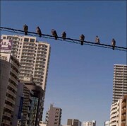 アルバム「出会ったとき~オクノ修、高田渡を歌う~」ジャケット