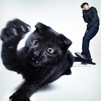 環ROYよりもネコが大部分を占める、アルバム「あっちとこっち」ジャケット写真。