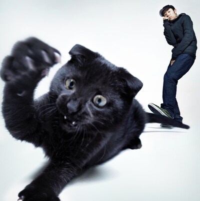 環ROYよりもネコが大部分を占める、アルバム「あっちとこっち」ジャケット写真。