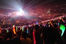 写真は「Animelo Summer Live 2010 -evolution-」会場の様子。