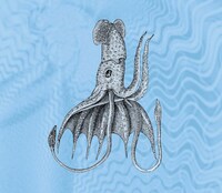 アルバム「ニニニニ」完全生産限定盤（写真）はTシャツ付き。