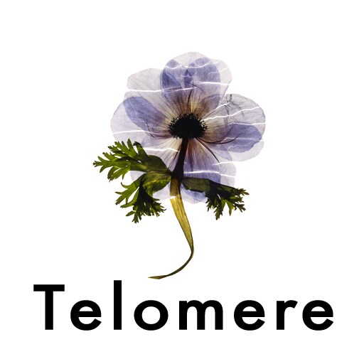 「Telomere」を制作したoooは、Perfumeやトータス松本、布袋寅泰ほか数多くのアーティストのアートワークを手がけるデザインプロダクション。