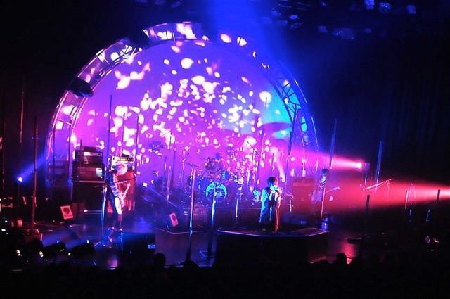 Plastic Tree