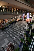 写真はチャリティライブの様子。