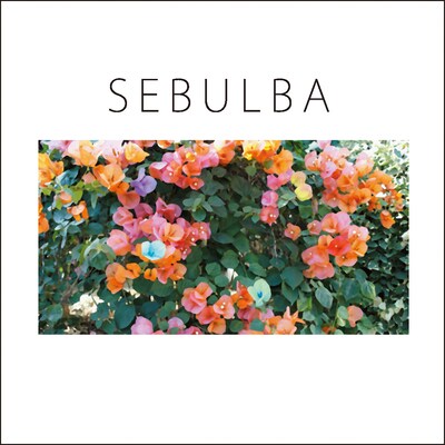 写真は踊ってばかりの国の最新アルバム「SEBULBA」ジャケット。