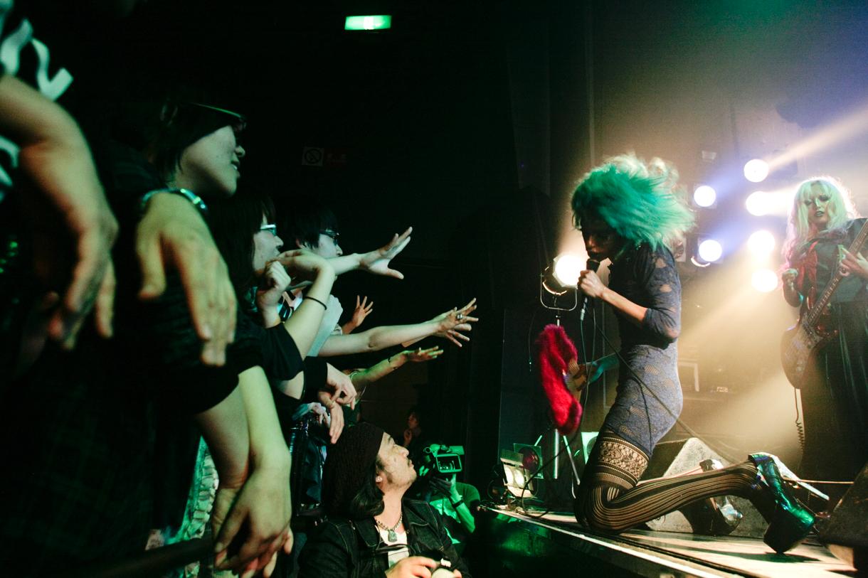 女王蜂（Photo by 岩根愛）