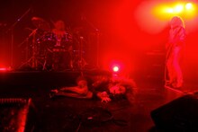 女王蜂（Photo by 岩根愛）