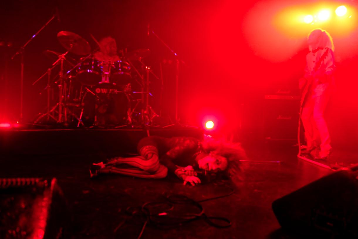 女王蜂（Photo by 岩根愛）