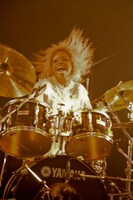 ルリちゃん（Dr, Cho）（Photo by 岩根愛）