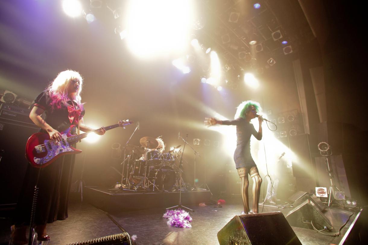 女王蜂（Photo by 岩根愛）