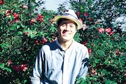 西尾大介(ALOHA)