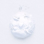 「sheeptown ALASCA」ジャケット