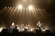 写真は「ACIDMAN LIVE TOUR "ALMA"」日本武道館公演の様子。