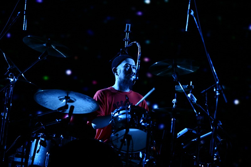 ウラヤマイチゴ（Dr）