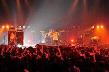 Pay money To my Pain