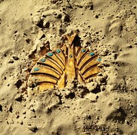 写真はニューアルバム「大発見」ジャケット。