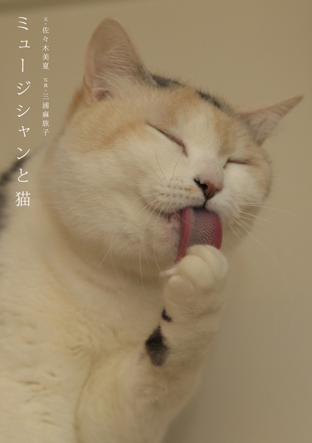 「ミュージシャンと猫」表紙