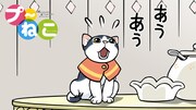 「プ～ねこ」より。(C)H・T・M・H・K／K・「ユルアニ？」製作委員会