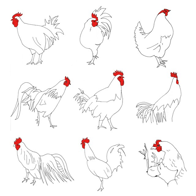 ミニアルバム「CONTEXT」のジャケットイラスト（写真）は五味岳久（Vo, B）が描き下ろしている。