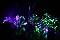 ツアー「KING OF STAGE VOL.9 ～POP LIFE RELEASE TOUR 2011～」のZepp Tokyo公演の模様。