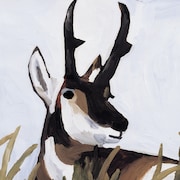 アルバム「Union」ジャケット