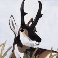 アルバム「Union」ジャケット