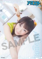 「月刊コミック アース・スター」2011年7月号折り込みポスター表面