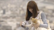 新CM「尾道 猫と二人旅」編より。愛猫とじゃれあう北川景子。