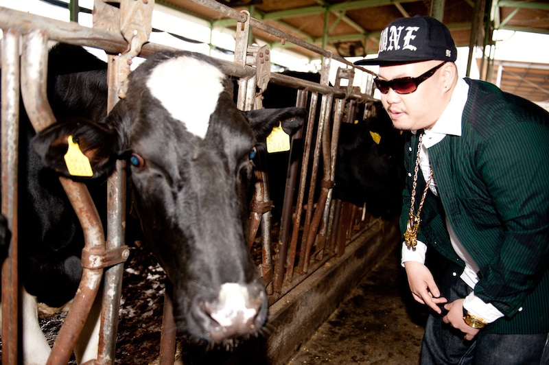 乳牛に語りかけるShibori。