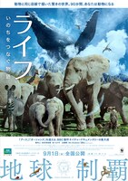 映画「ライフ -いのちをつなぐ物語-」ポスター (C) BBC EARTH PRODUCTIONS（LIFE）LIMITED MMXI. ALL RIGHTS RESEVED