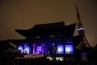 Salyuのパフォーマンスの模様。