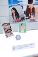 通常版のサンプル。