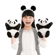 大橋のぞみ