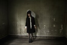 やくしまるえつこ