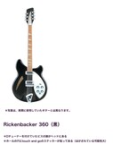盗難被害にあったリッケンバッカー360の詳細。