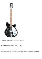 盗難被害にあったリッケンバッカー360の詳細。