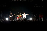 黒猫チェルシー（photo by 山本倫子）