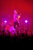 黒猫チェルシー（photo by 山本倫子）