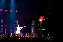 黒猫チェルシー（photo by 山本倫子）