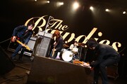 THE BAWDIES、“夢の舞台”に向けZepp Tokyo白熱ライブ